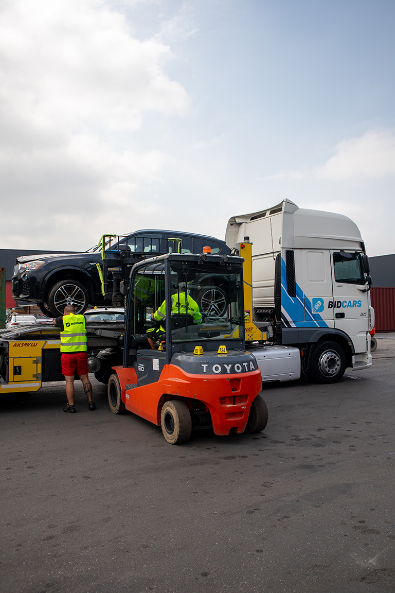 BidCars - Specialists in car shipping